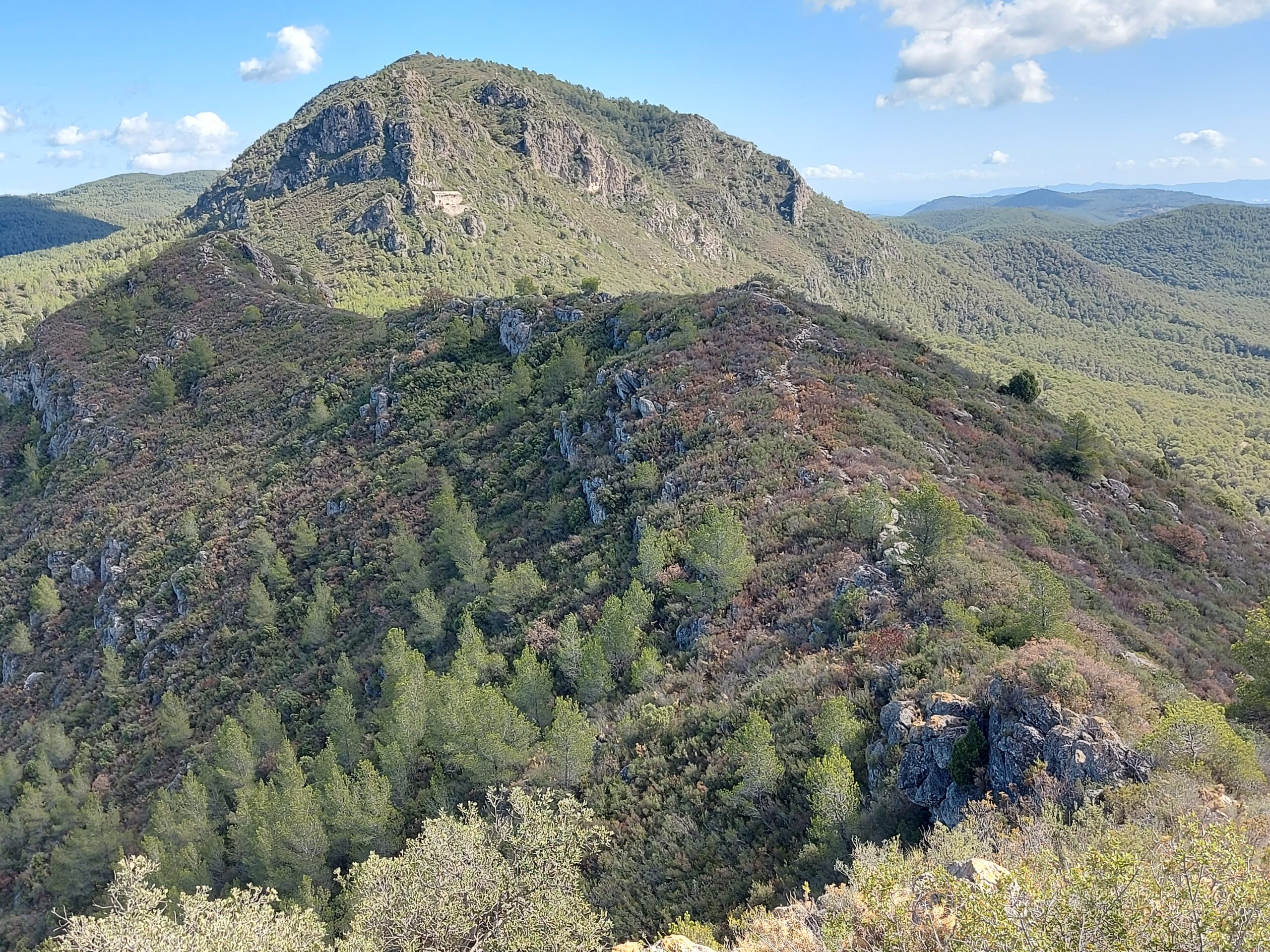 Hayedo de La Pedrosa - Alto del Parrejón (2.014m)