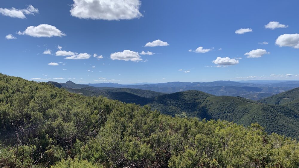 El Bierzo