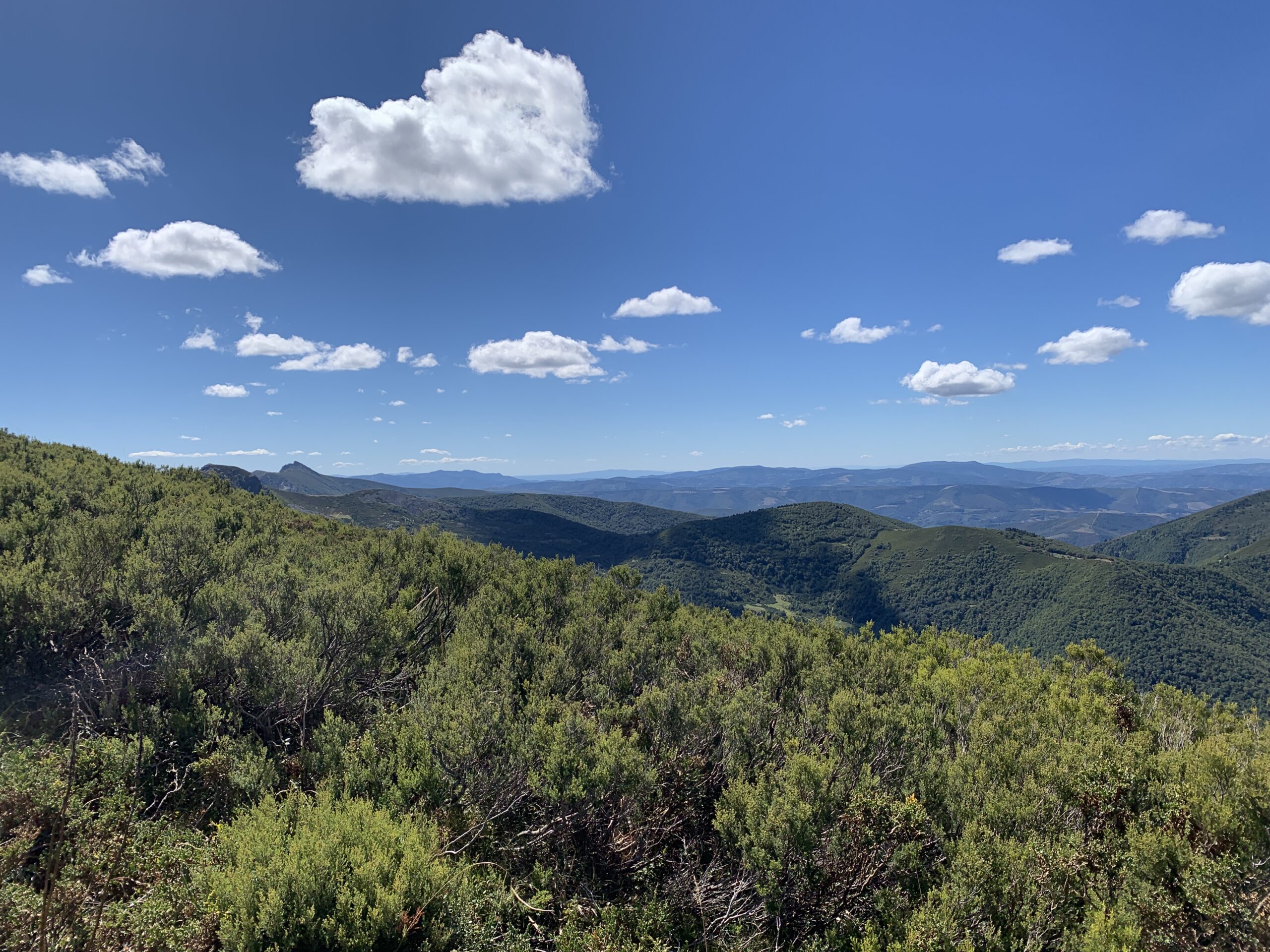 SALIDA por EL BIERZO