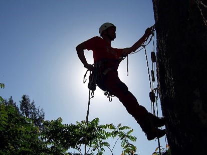 CURSO DE AUTORRESCATE EN PARED 18 y 19 de Enero de 2025