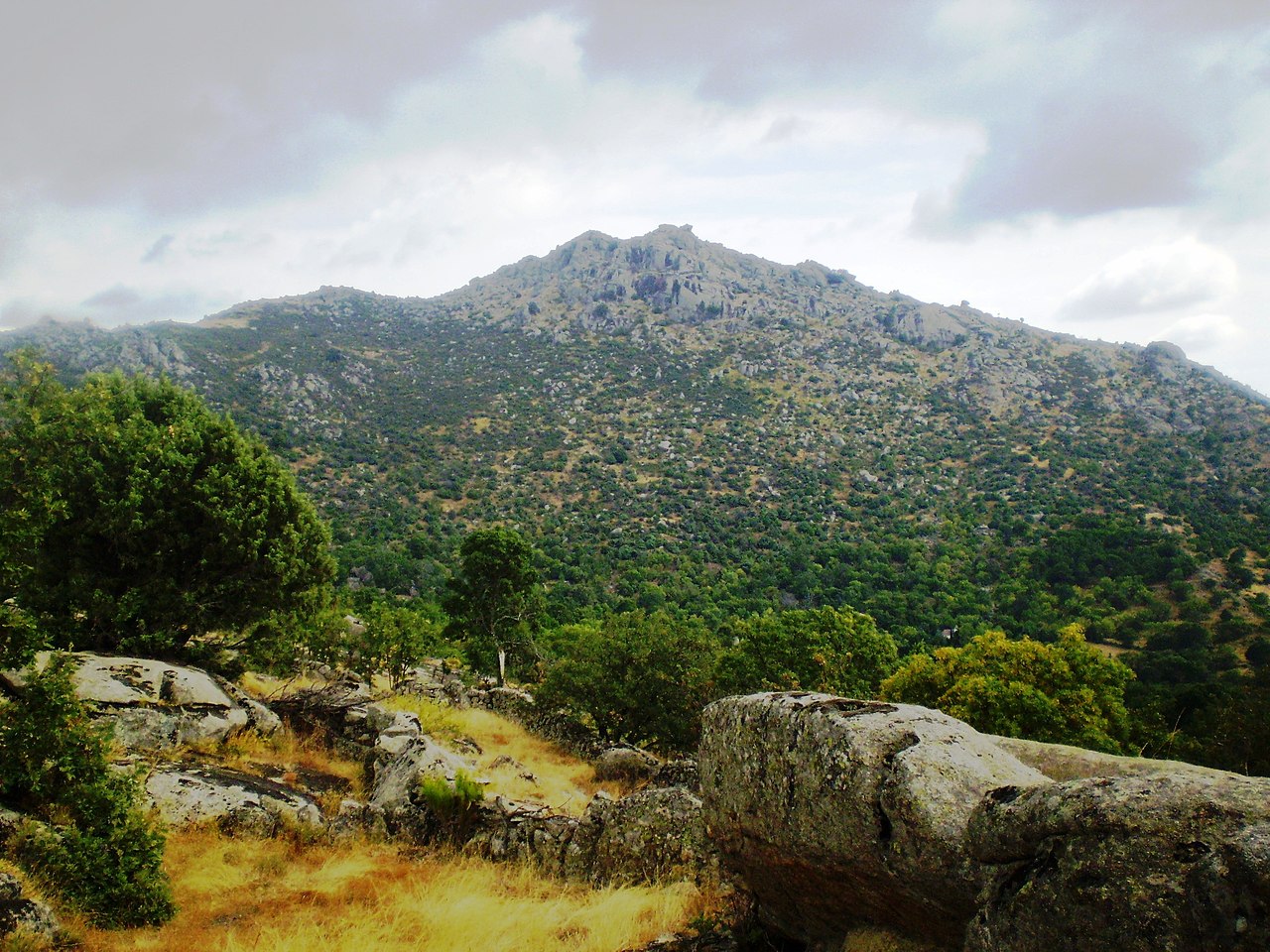 Las machotas desde Zarzalejo