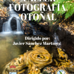 Recorrido fotográfico por el Abedular de Canencia- Valle del Lozoya 'Paisajes de otoño'