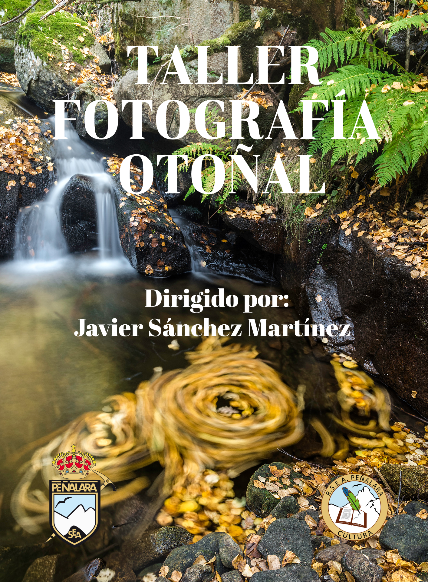 Recorrido fotográfico por el Abedular de Canencia- Valle del Lozoya 'Paisajes de otoño'