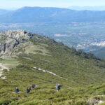 Salida a la Sierra de Guadarrama, zona Valsaín ( Lunes 13/05/24)