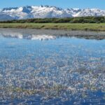 Martes Peñalara: Salida a la Sierra de Gredos (4-5/06/24)