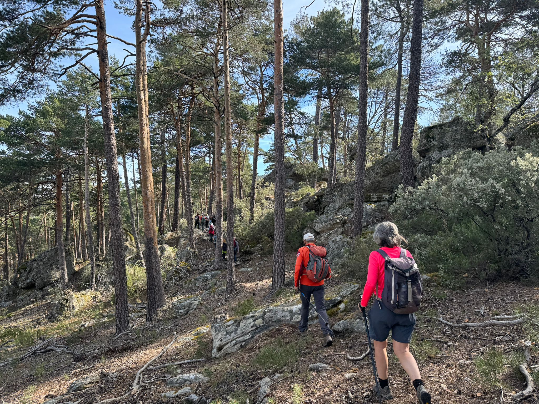 Salida a la Sierra de Guadarrama