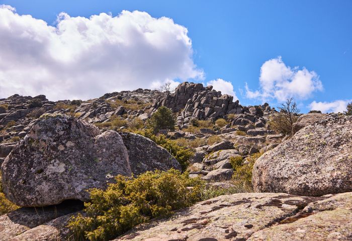 Salida a la Sierra de la Cabrera