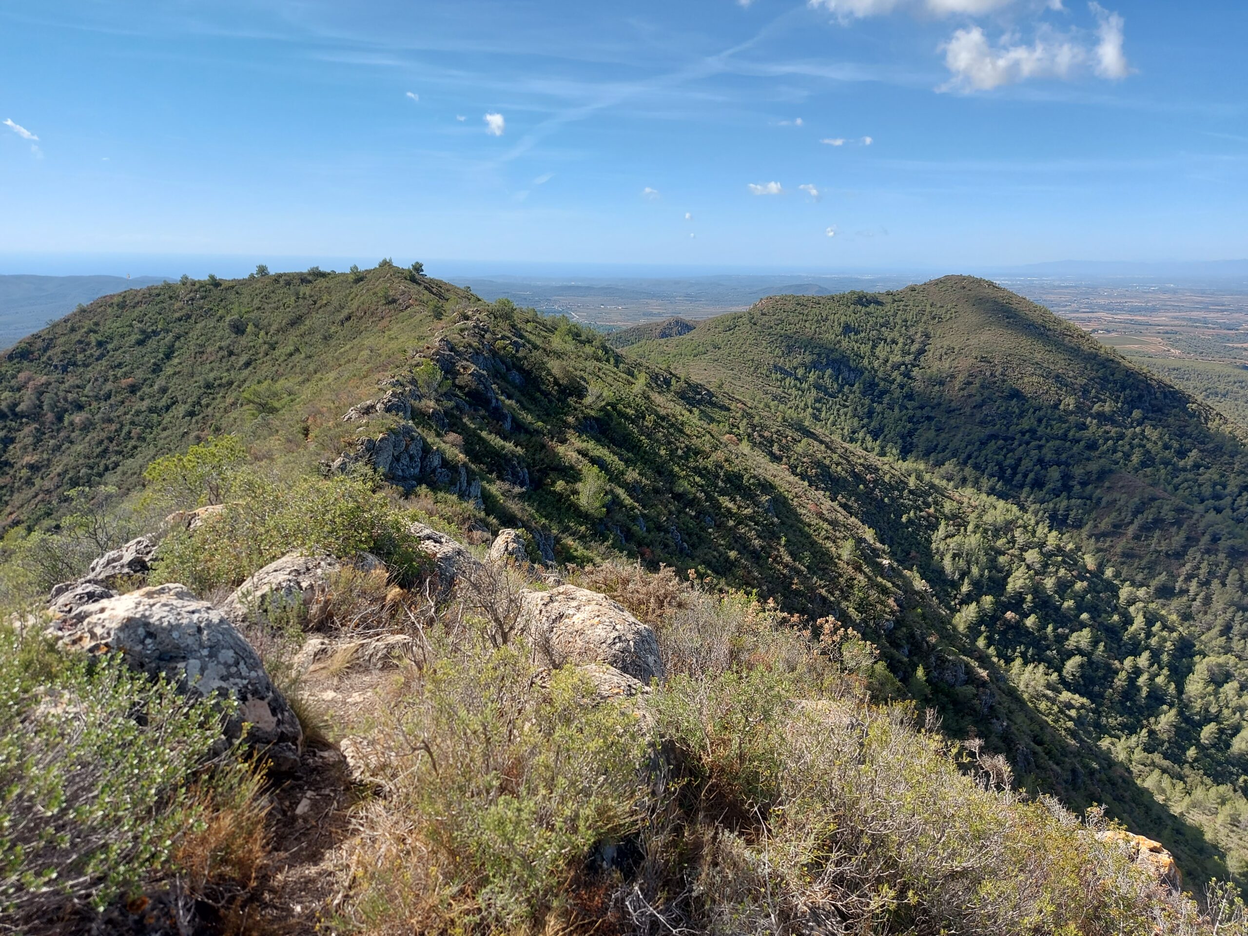 Sierra de La Cabrera. Cerro de La Cabeza ( 1.247 m).