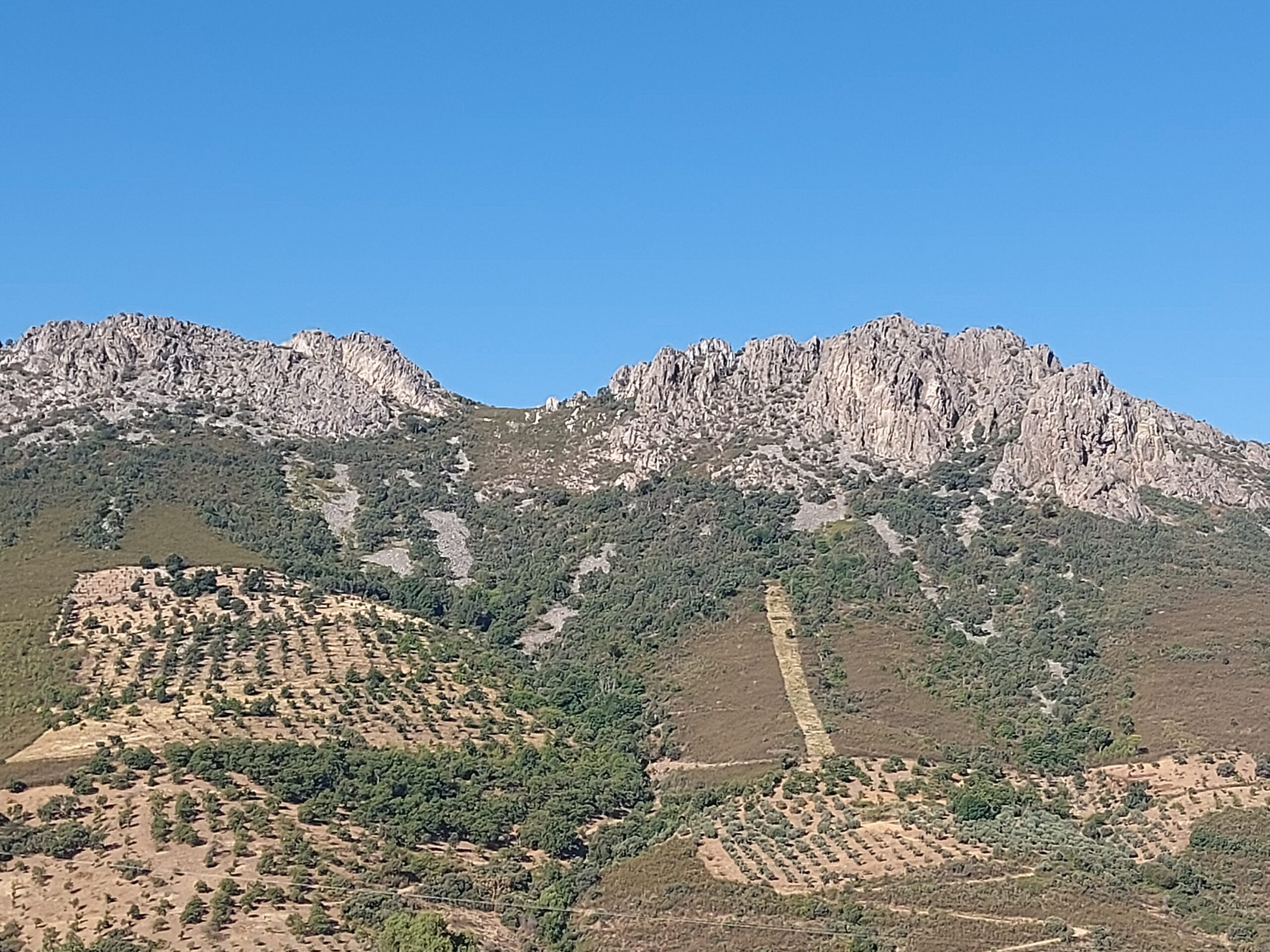 Salida a la cumbre del Mojoncillo , Otero y Alto Rey (Guadalajara)