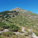 Senda de los Alevines y subida al Montón de Trigo