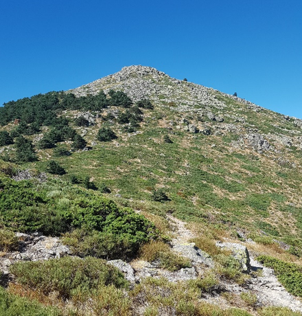 Senda de los Alevines y subida al Montón de Trigo