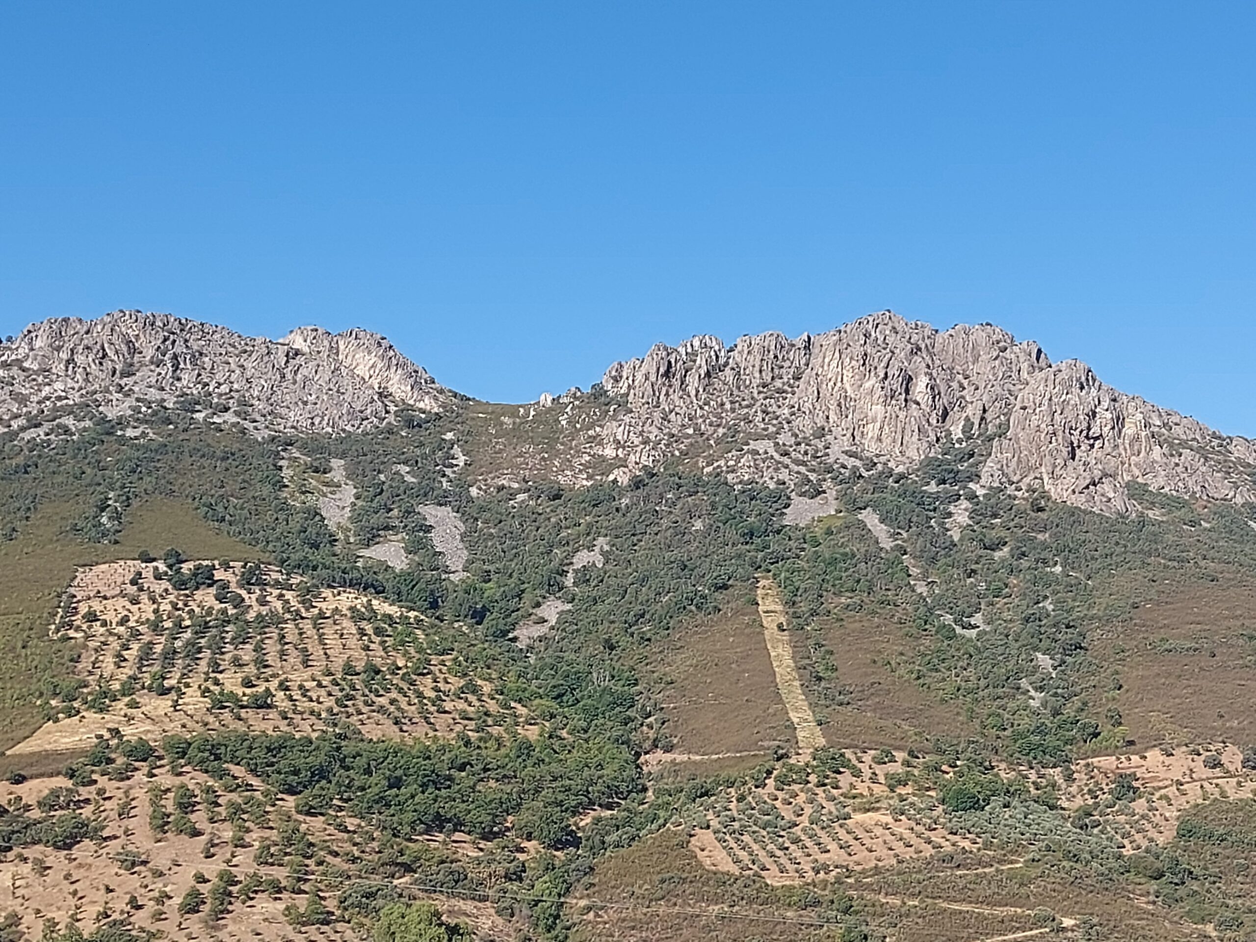 SALIDA A PEÑA RETUERTA. ZONA DE LA MALICIOSA