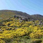 Salida a la Sierra de Béjar (Salamanca).