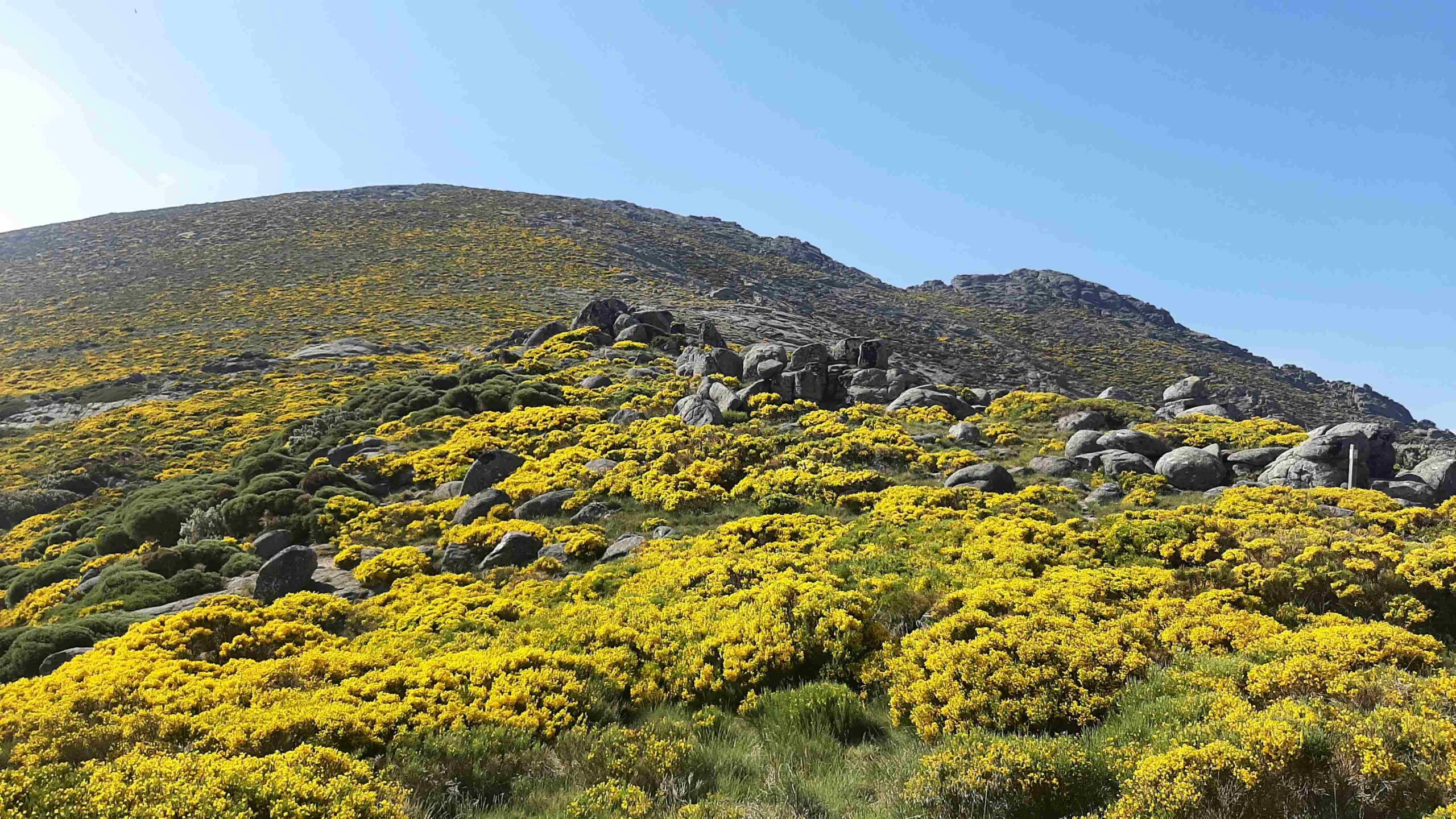 Salida a la Sierra de Béjar (Salamanca).