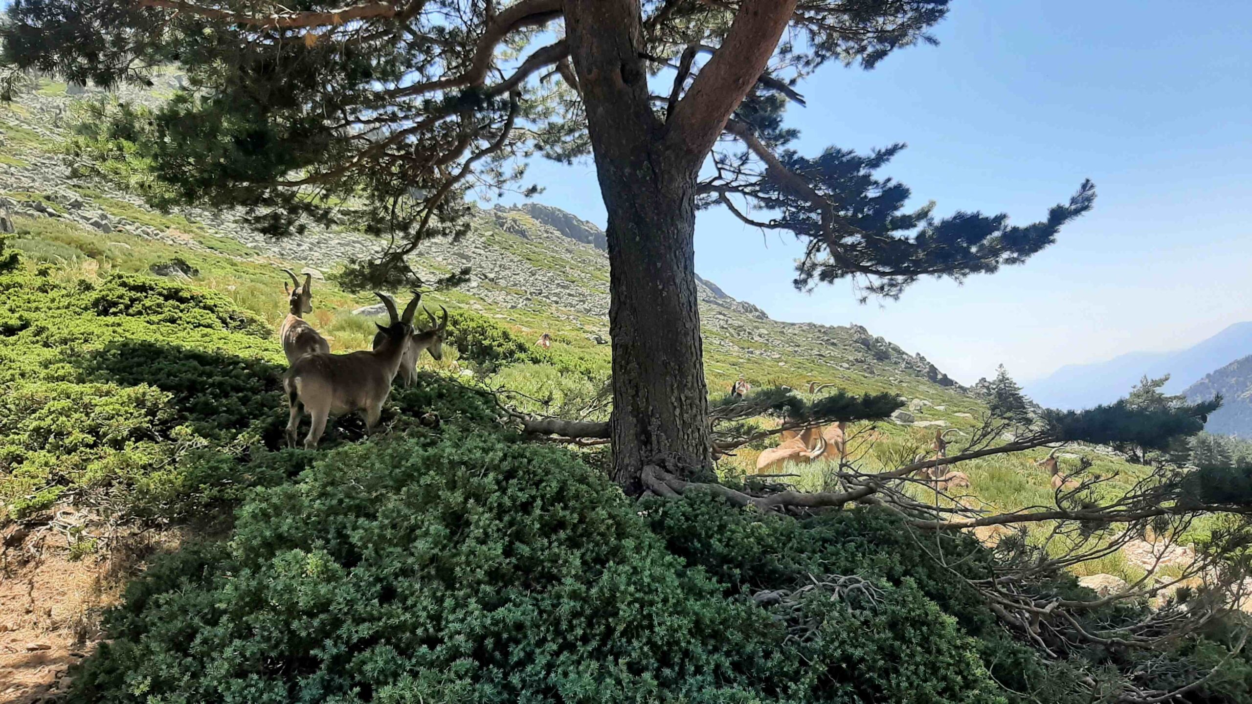 Salida al Parque Natural de Sierra Mágina (Jaén).